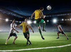 河北冰壶男,队全胜荣耀,加冕,大发彩票,大发娱乐,大发快三,大发彩票官网