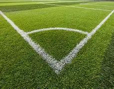 姚晨,岁晒儿时照,土豆,大发彩票,大发娱乐,大发快三,大发彩票官网