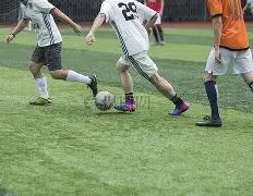 海鸥预测大,揭秘,期双色球红,大发彩票,大发娱乐,大发快三,大发彩票官网