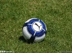 潮流预测,双色球,期热势红球,大发彩票,大发娱乐,大发快三,大发彩票官网