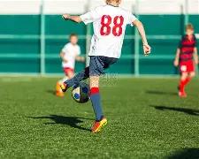 菩提福运,狗年,期套餐攻略,大发彩票,大发娱乐,大发快三,大发彩票官网