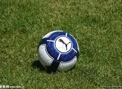 双色球盛宴,揭秘倍投绝,复式,大发彩票,大发娱乐,大发快三,大发彩票官网