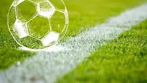 【2026年首期大乐透独家预测】龙头凤尾走势揭秘：低位振幅，揭秘财富风向标！