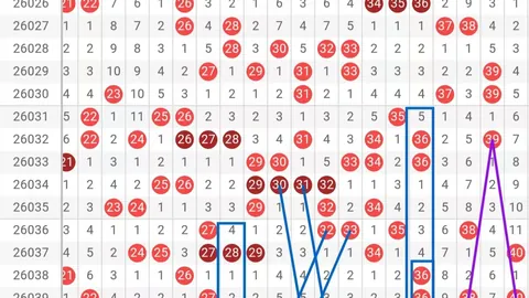 【彩市热点】揭秘26013期大乐透必中五码：09、20、22、29、34，专家精准预测！