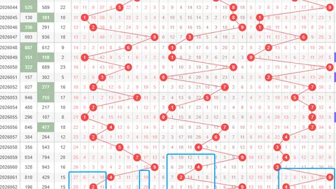 南华天大乐透第2026020期推荐：精选52组合，前区关注0