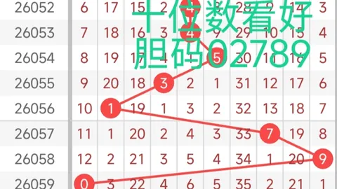 林妹妹福彩3D第078期专家质合推荐